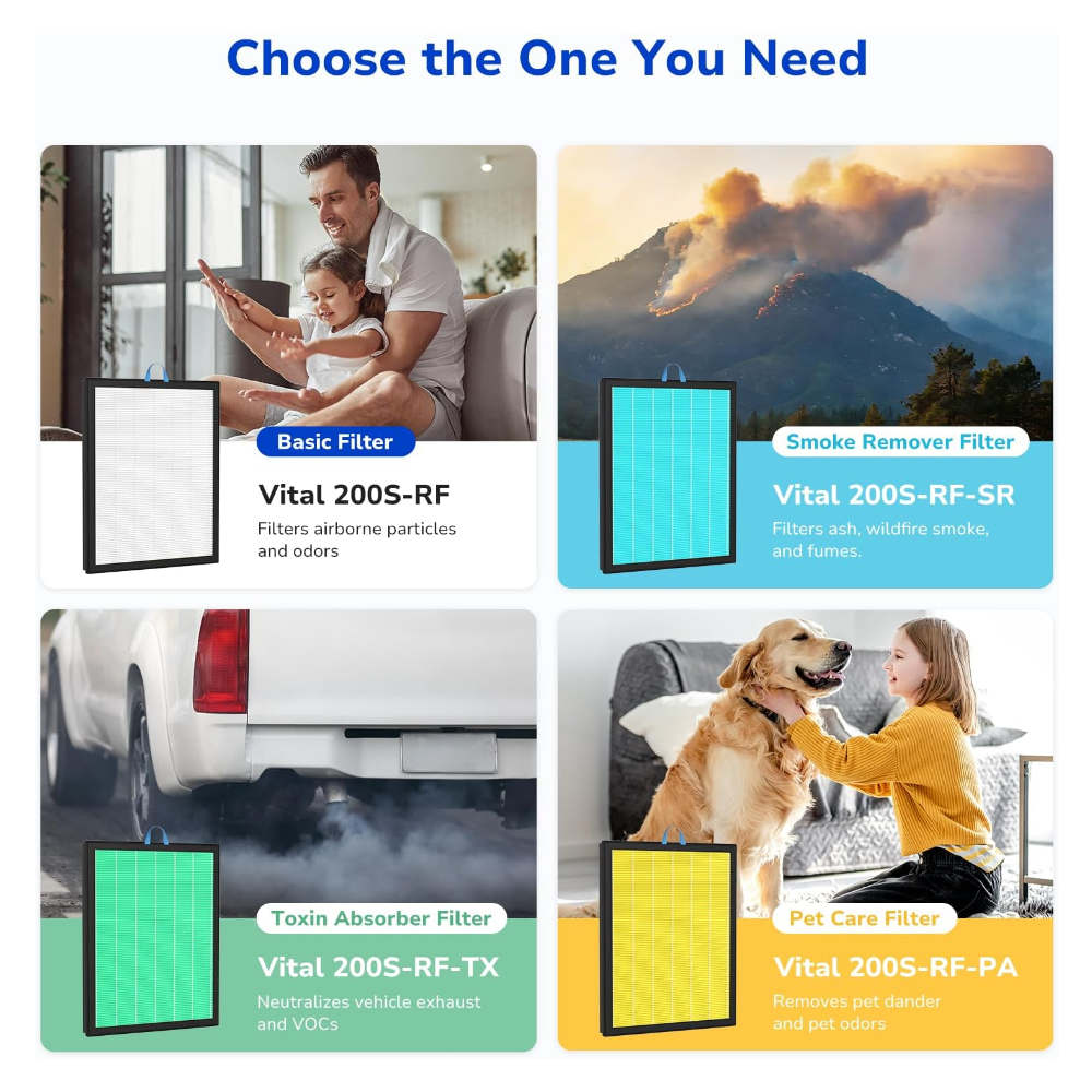 4 options - basic filter, smoke remover filter, toxin absorber filter, and pet care filter