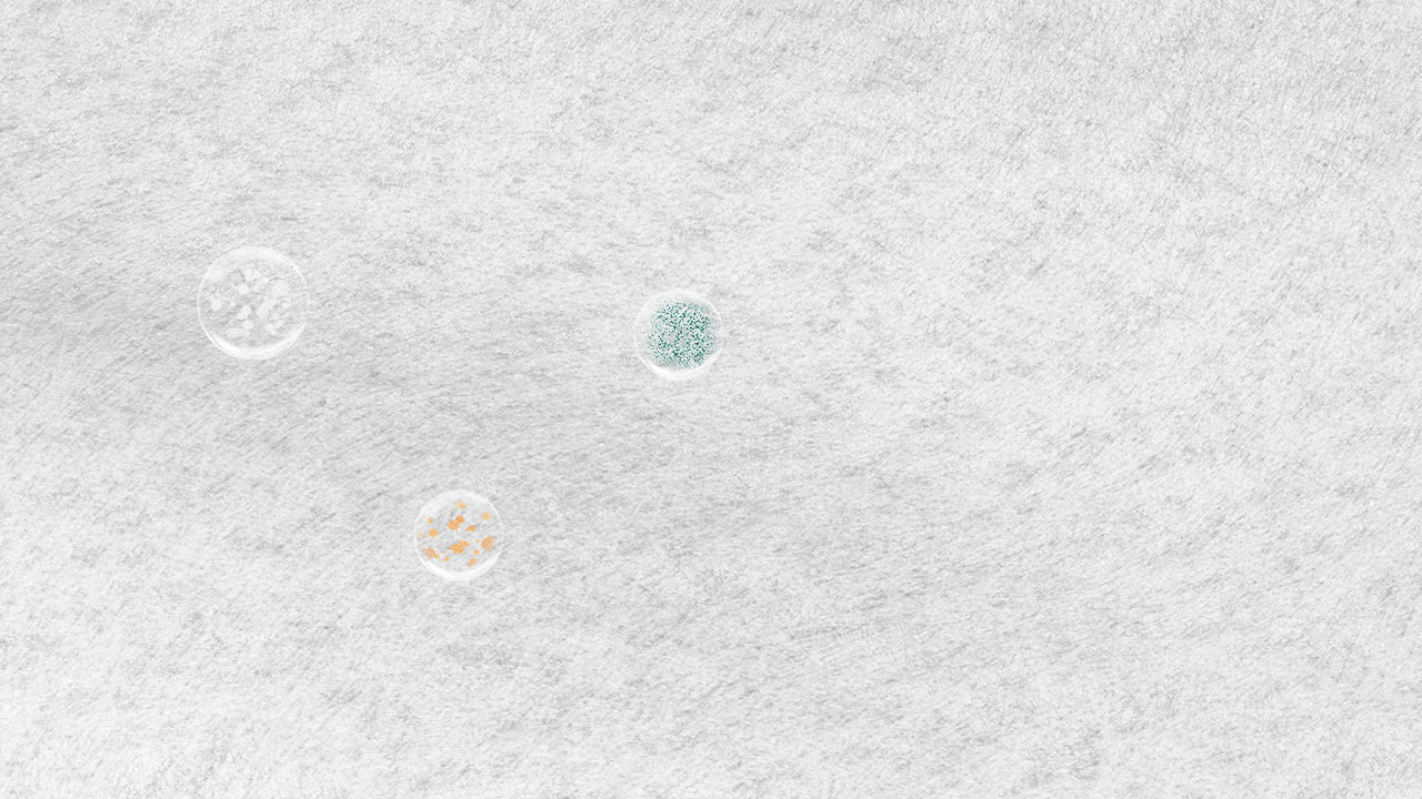 Support Protect Layer