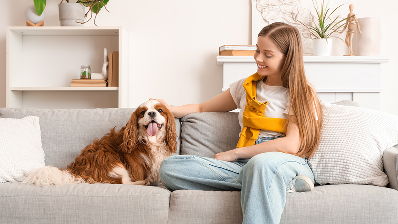 a women enjoy the moments with her furry friends without the bother of pet dander and odors