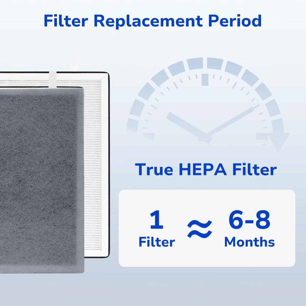 replacement period, replace the True HEPA filter every 6 to 8 months
