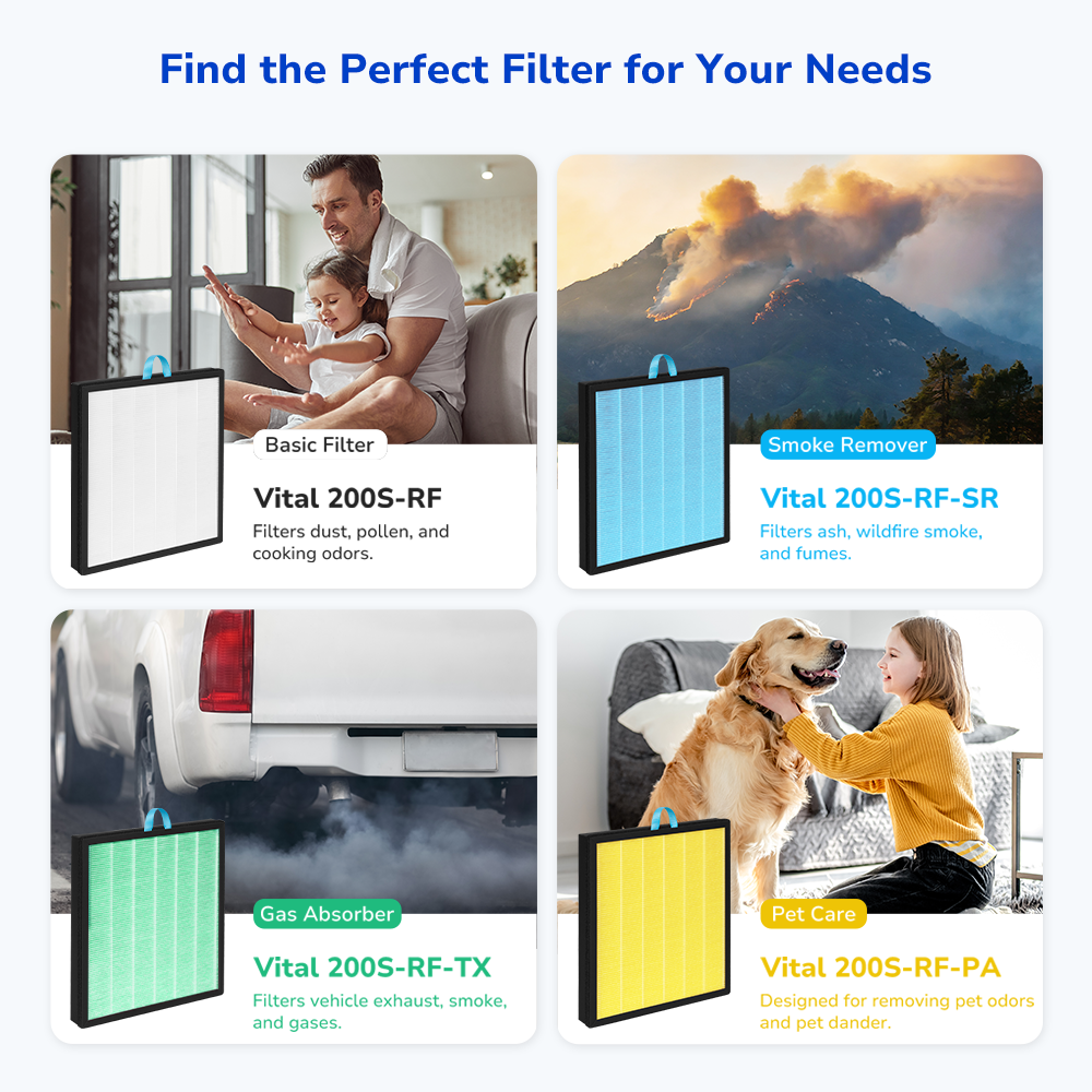 4 options - basic filter, smoke remover filter, toxin absorber filter, and pet care filter