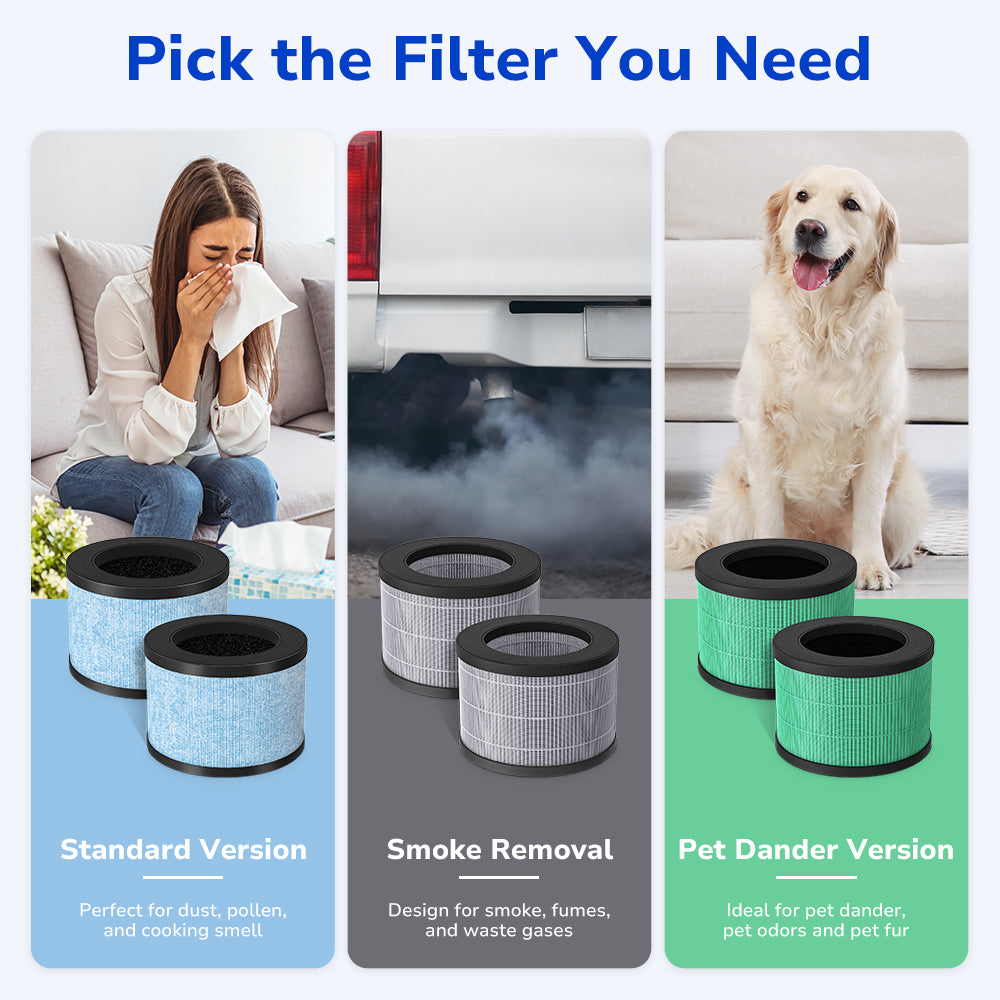 3 options - smoke remover filter, pet dander filter, standard version