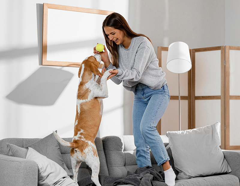 a women playing with her dog in the living room breathe fresher air with Fil-Fresh Air Purifier Filter Replacement