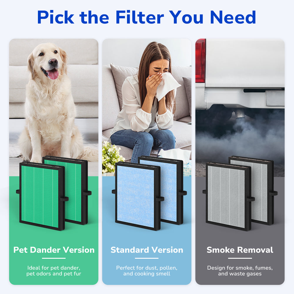 3 options - smoke remover filter, pet care filter, standard version