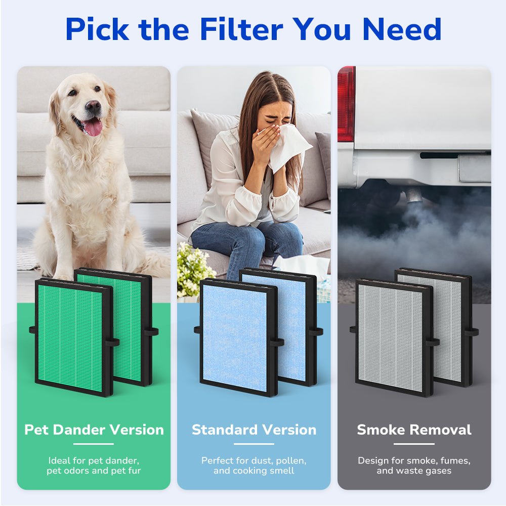 3 options - basic filter, smoke remover filter, pet care filter, standard version