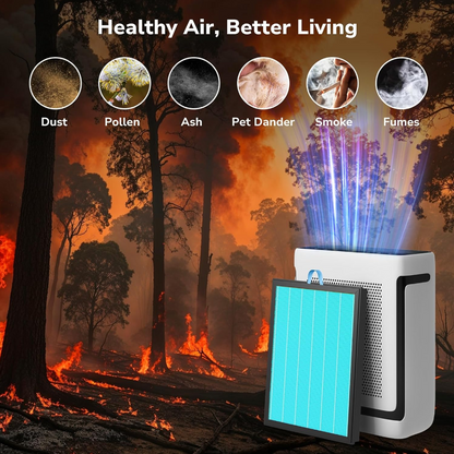 effectively filters dust, pollen, ash, pet dander, smoke and fumes