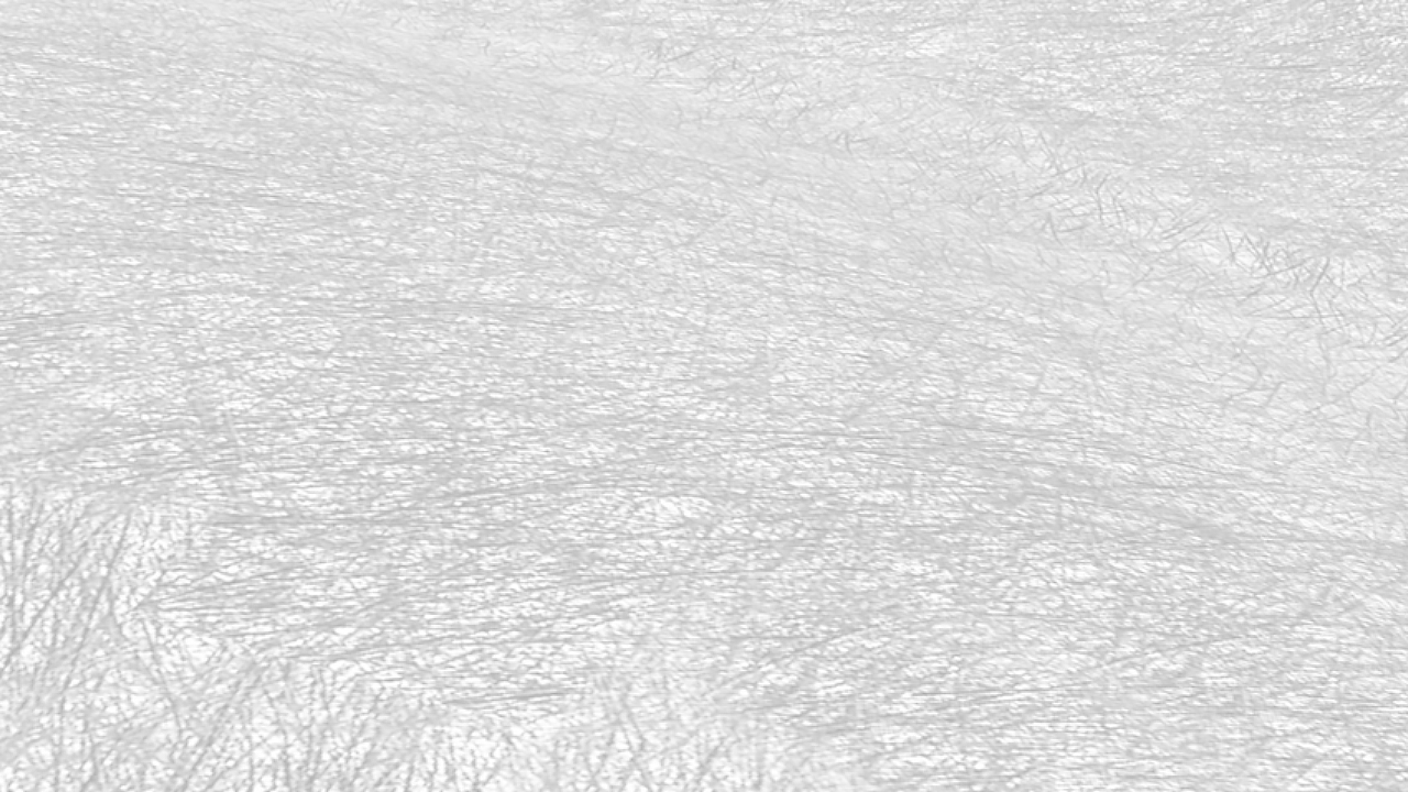 H13 True HEPA Filter Layer