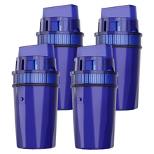 Fil-Fresh Pitcher Filter Replacement for All PUR, PUR Plus Water Pitchers and Dispensers, Replace PPF900Z, NSF Certified, 4-Pack