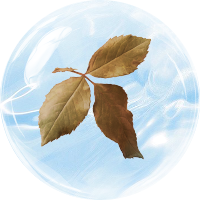 Pool filter cartridge removing leaves